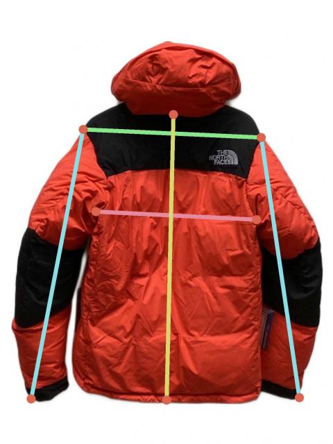 中古・古着通販】THE NORTH FACE (ザ ノース フェイス) ダウン