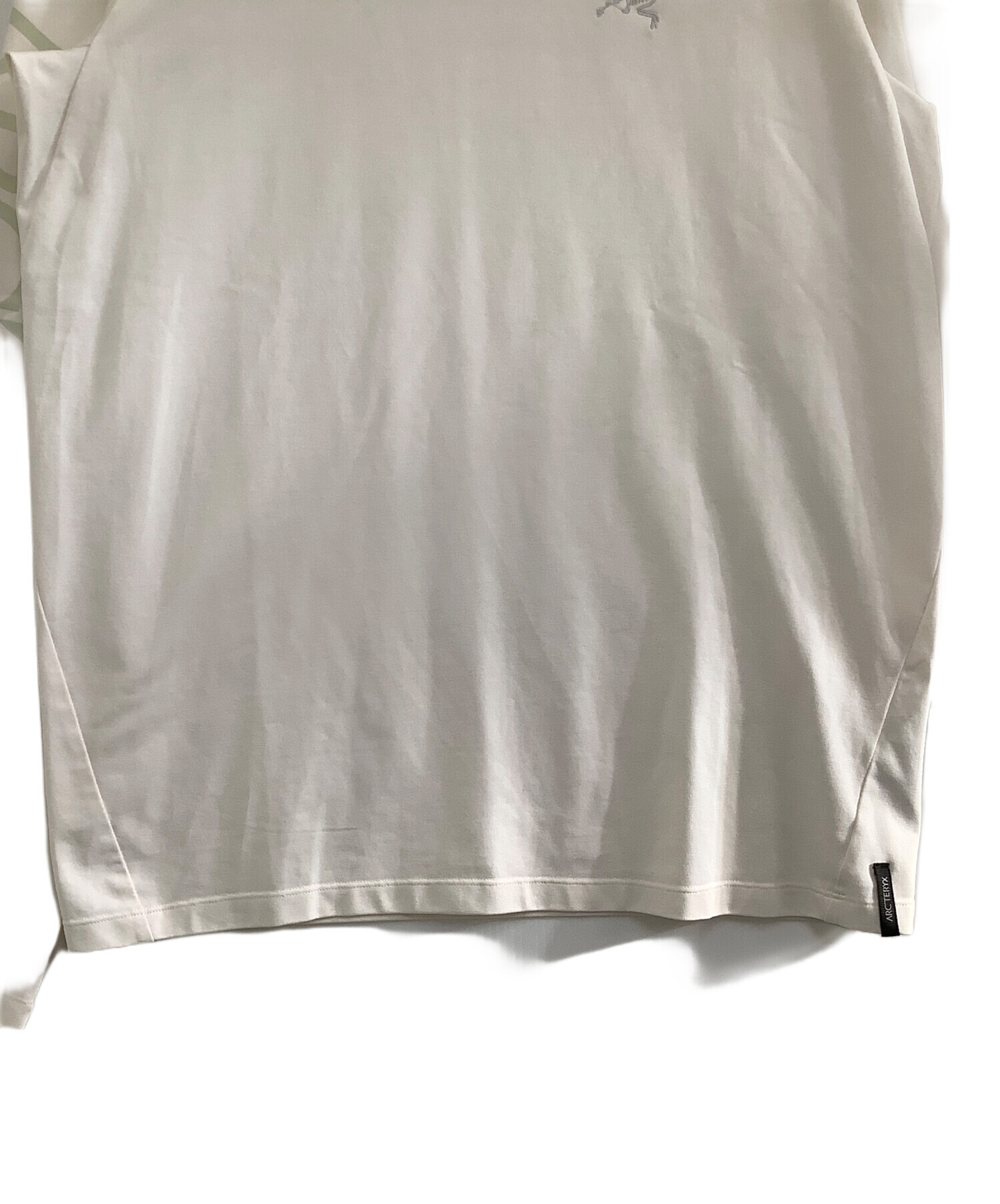 中古・古着通販】ARC'TERYX (アークテリクス) キャプティブアーク