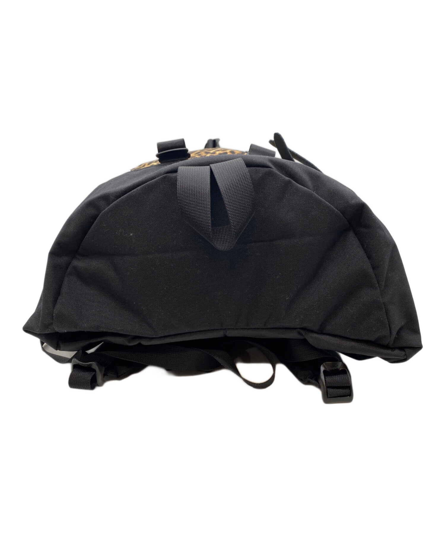BEAMS BOY別注リュック ANIMAL FINE DAY 中古・古着通販】GREGORY (グレゴリー) BEAMS BOY (ビームスボーイ