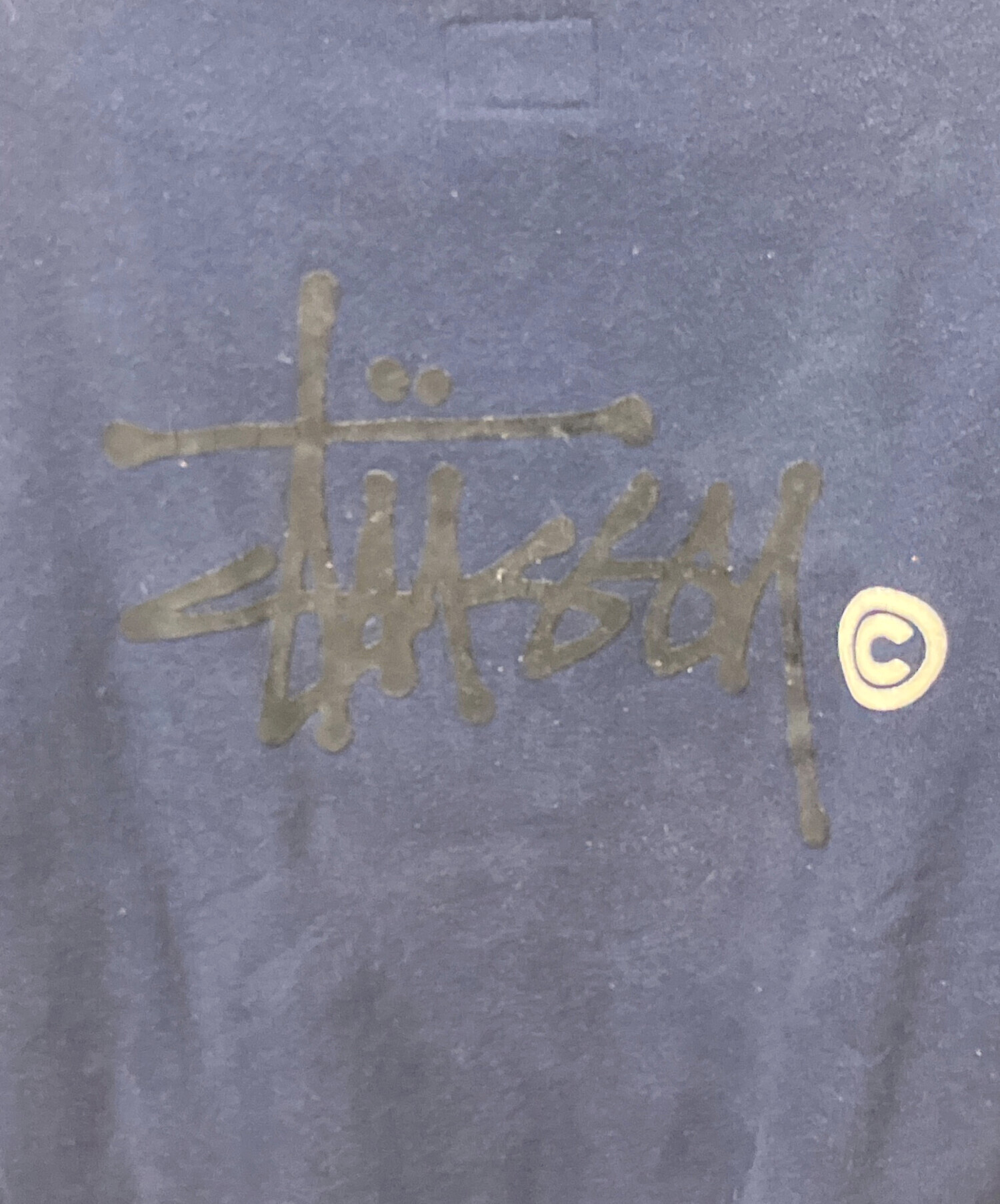 中古・古着通販】Champion (チャンピオン) stussy (ステューシー