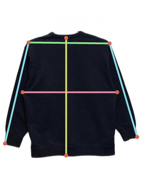 中古・古着通販】WTAPS (ダブルタップス) 23SS カレッジロゴ クルー