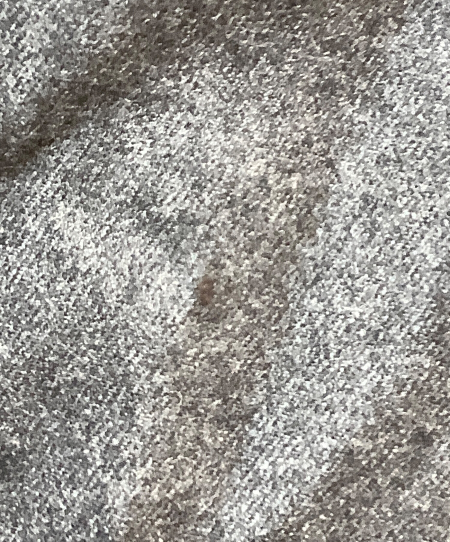 中古・古着通販】COMME des GARCONS HOMME (コムデギャルソン オム