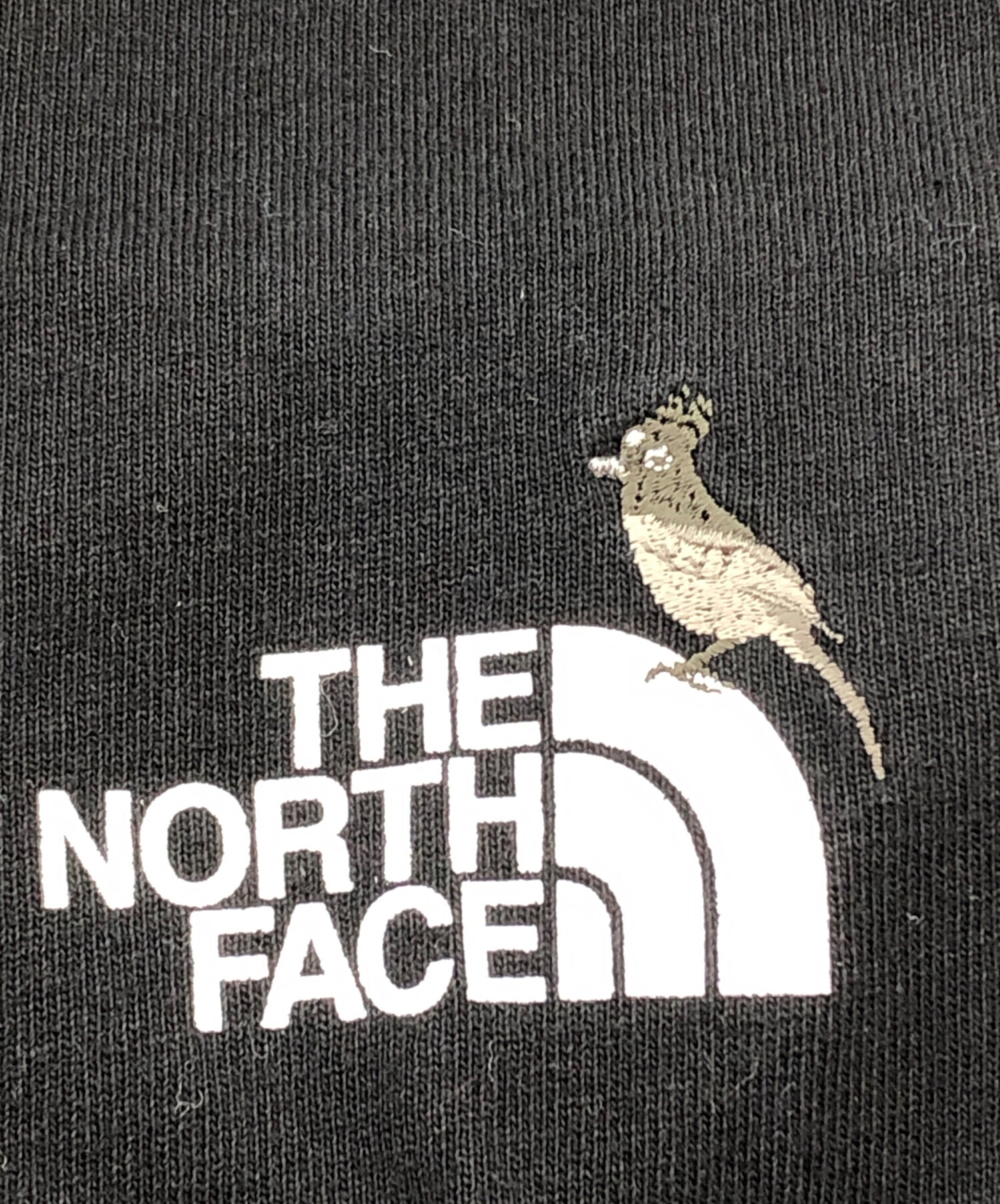中古・古着通販】THE NORTH FACE (ザ ノース フェイス) ロングスリーブ