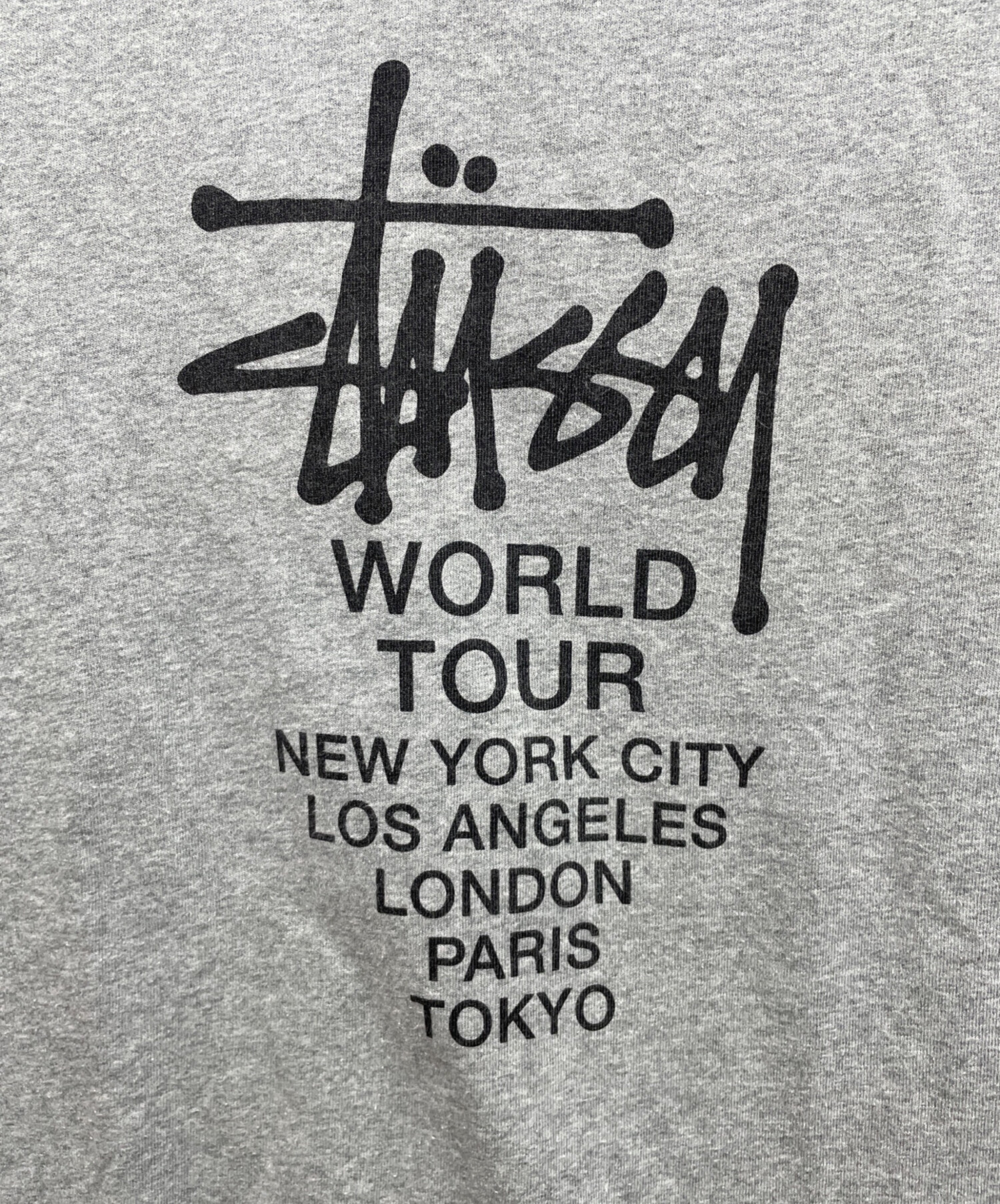 中古・古着通販】Champion (チャンピオン) stussy (ステューシー) 半袖 