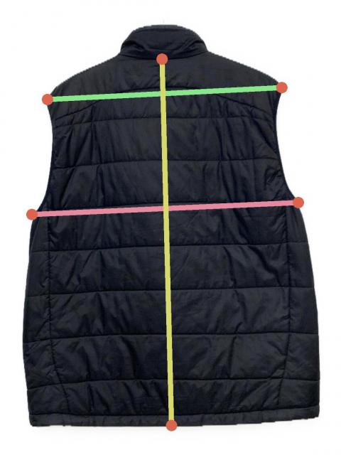 中古・古着通販】Patagonia (パタゴニア) Micro Puff Vest ブラック