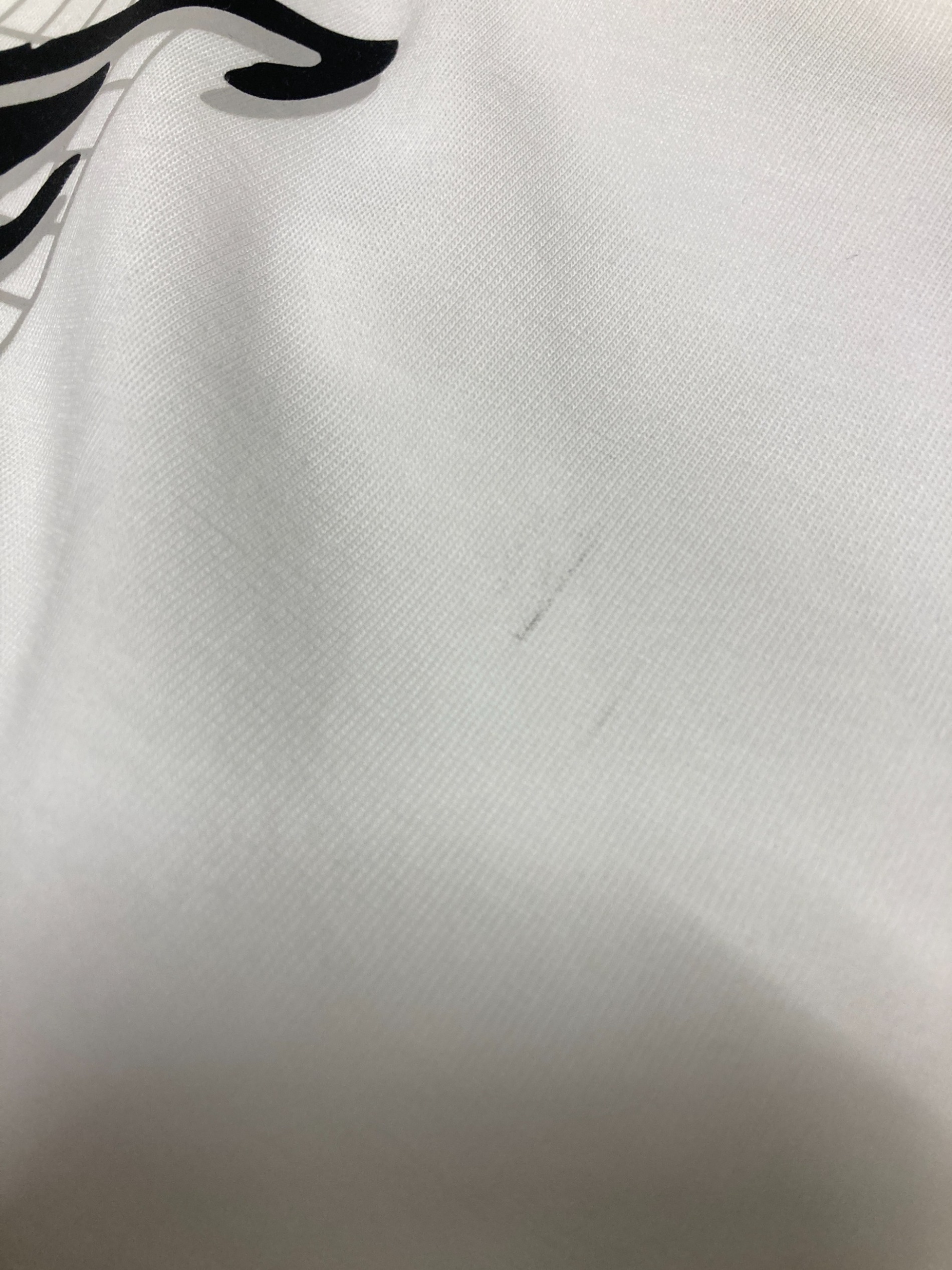 中古・古着通販】ARC'TERYX (アークテリクス) Multi Bird Logo SS