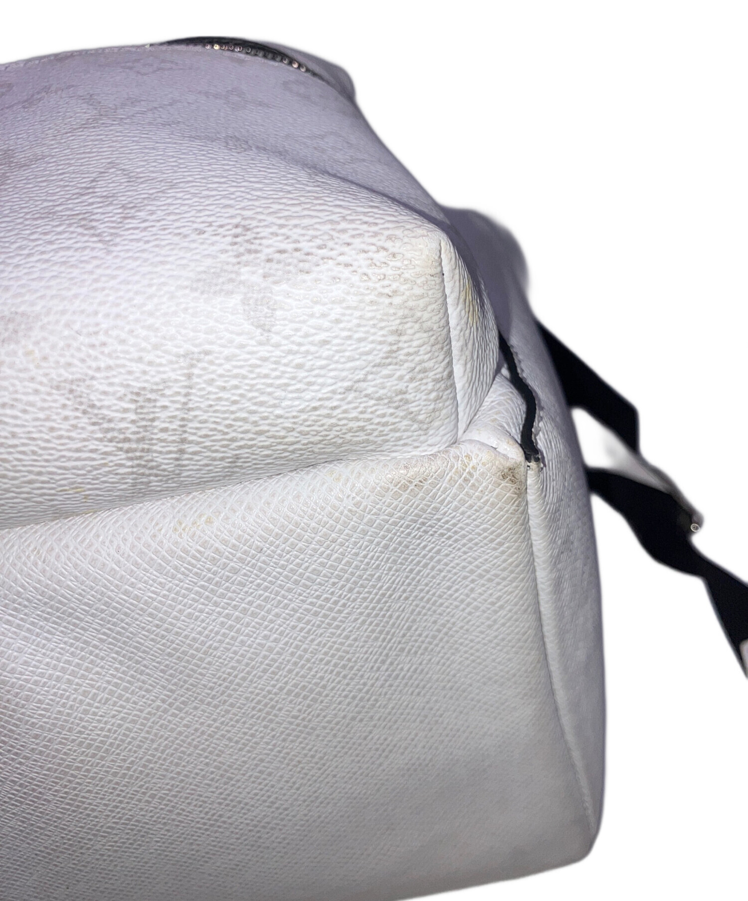 中古・古着通販】LOUIS VUITTON (ルイ ヴィトン) リュック タイガラマ