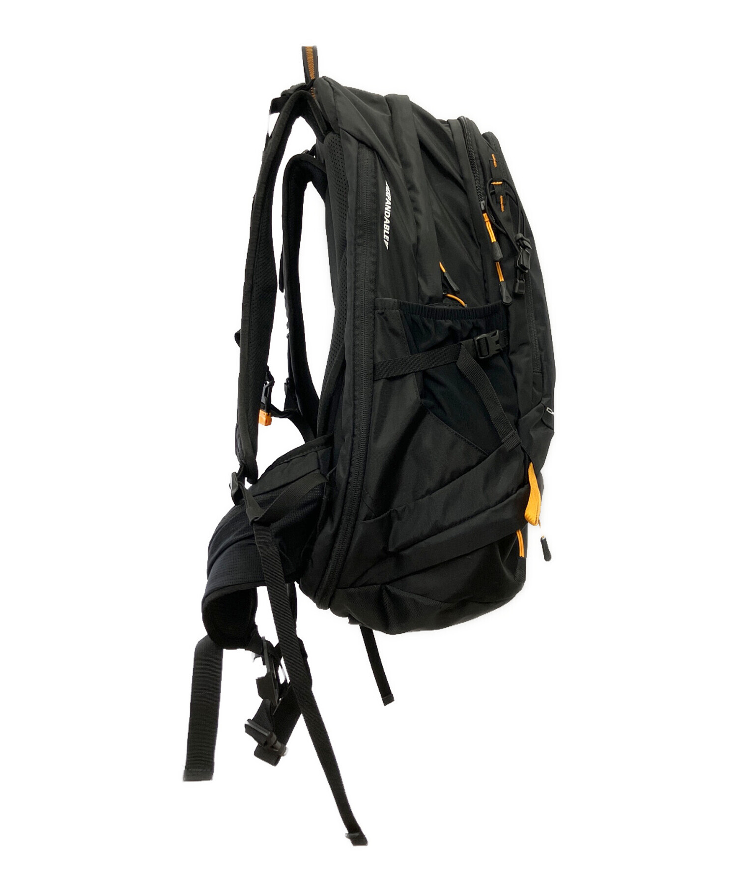 中古  THE NORTH FACE ノースフェイス リュック バックパック ザ・ノース・フェイス(THE NORTH FACE) 中古 リュック・バックパック