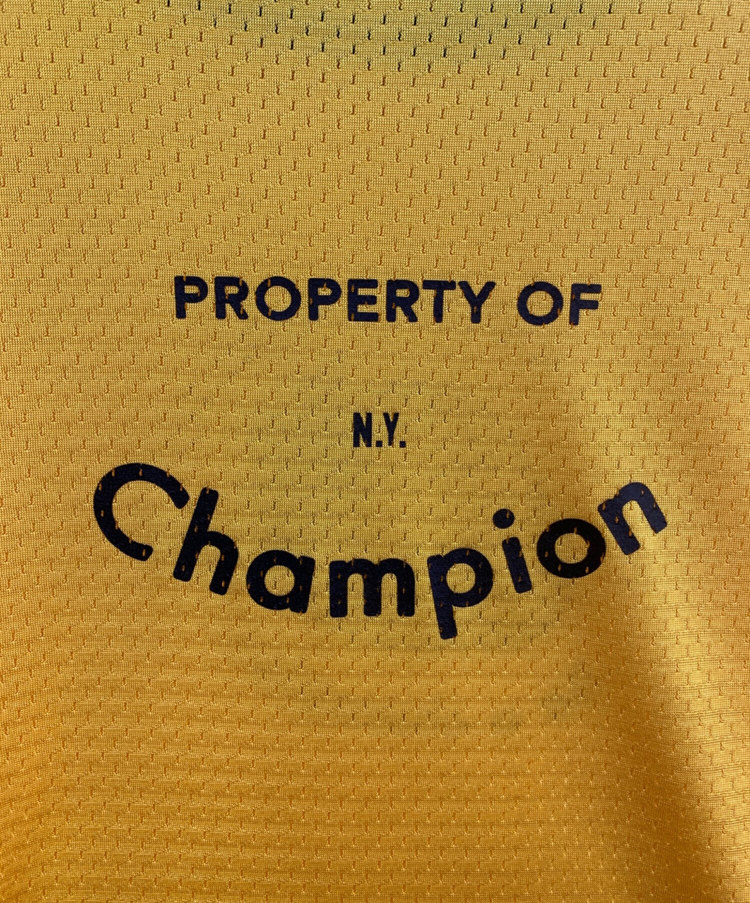 中古・古着通販】Champion (チャンピオン) Danielle Guizio 長袖 