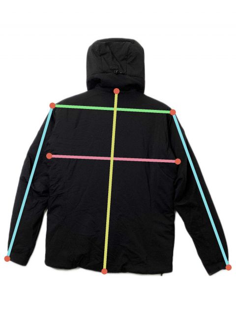 中古・古着通販】ARC'TERYX (アークテリクス) ATOM AR HOODY ブラック