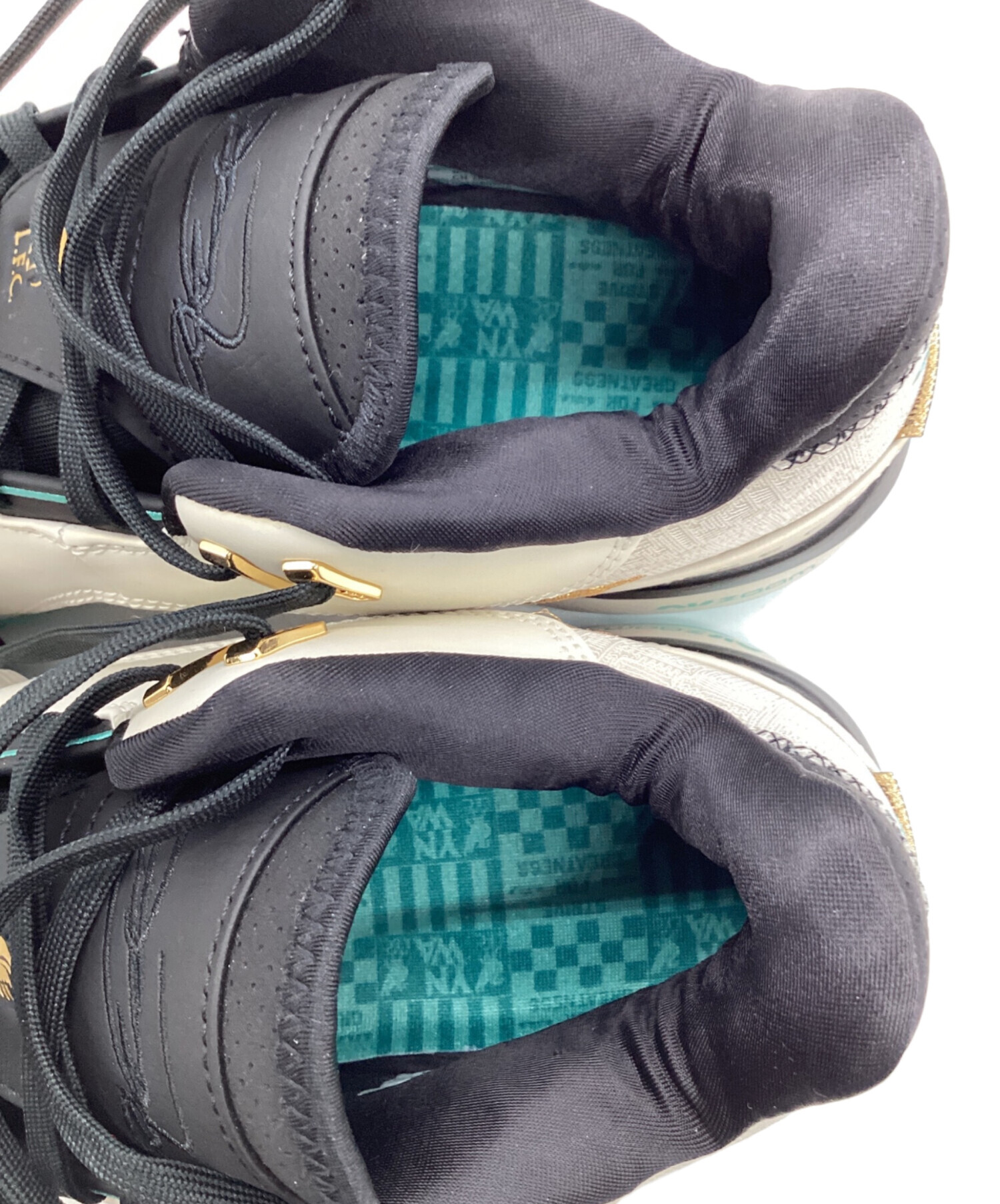 中古・古着通販】NIKE (ナイキ) ナイキ レブロン NXXT GEN AMPD