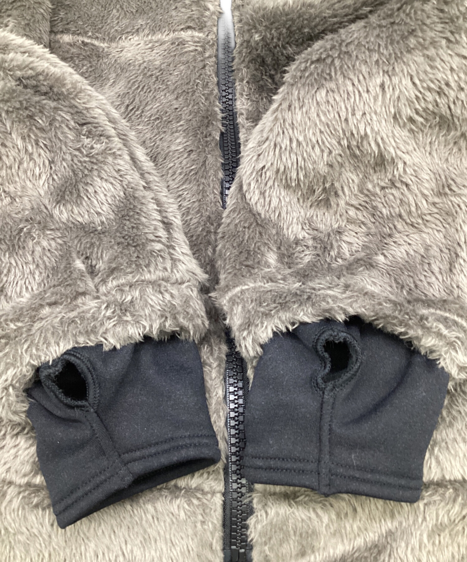 中古・古着通販】THE NORTH FACE (ザ ノース フェイス) ANTARCTICA 