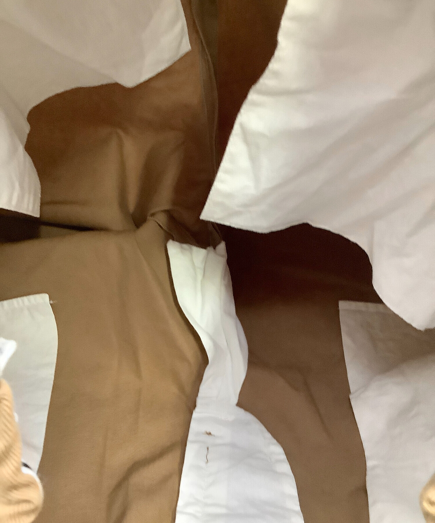 中古・古着通販】JIL SANDER (ジルサンダー) パンツ Tailored Cotton
