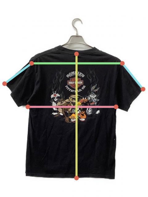 中古・古着通販】HARLEY-DAVIDSON (ハーレーダビッドソン) LOONEY