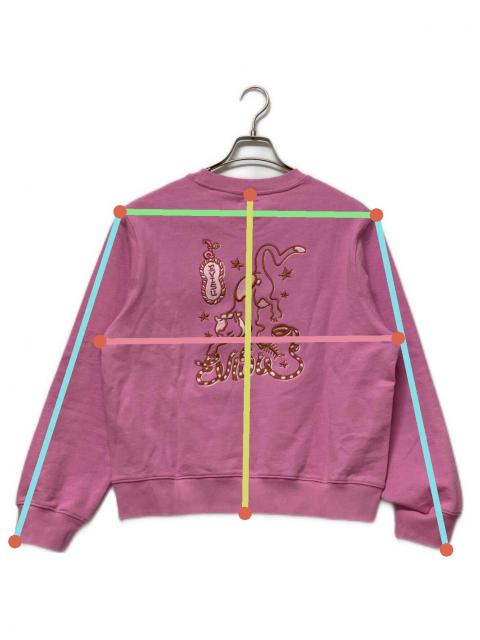 中古・古着通販】EVISU (エヴィス) クルーネックスウェット ピンク