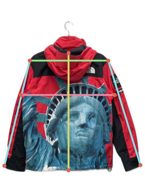 中古・古着通販】SUPREME (シュプリーム) THE NORTH FACE (ザ ノース