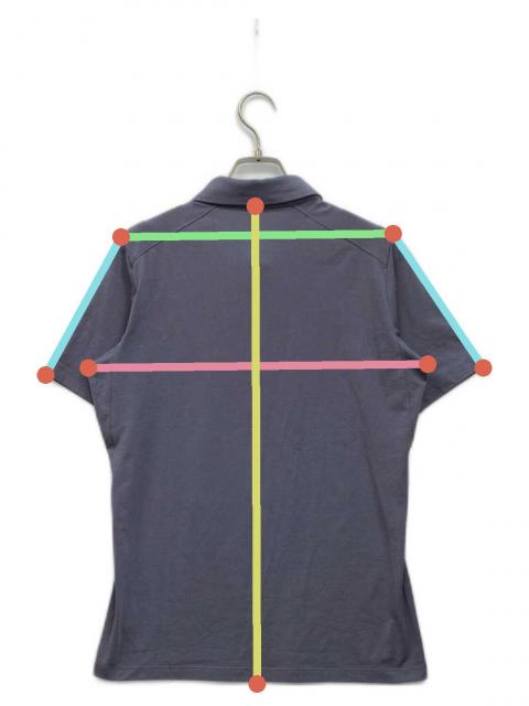 中古・古着通販】ARC'TERYX (アークテリクス) Captive Polo ブルー