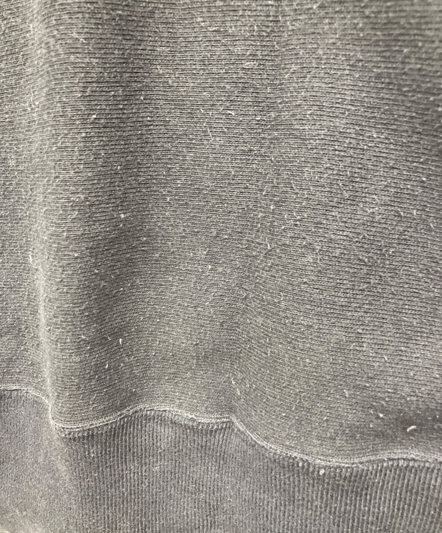 中古・古着通販】Champion REVERSE WEAVE (チャンピオン リバース