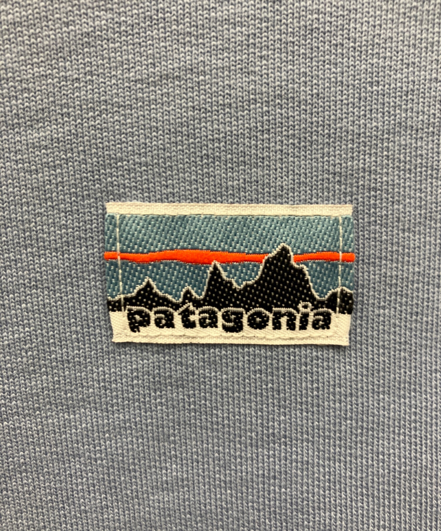 中古・古着通販】Patagonia (パタゴニア) デイリー・クルーネック