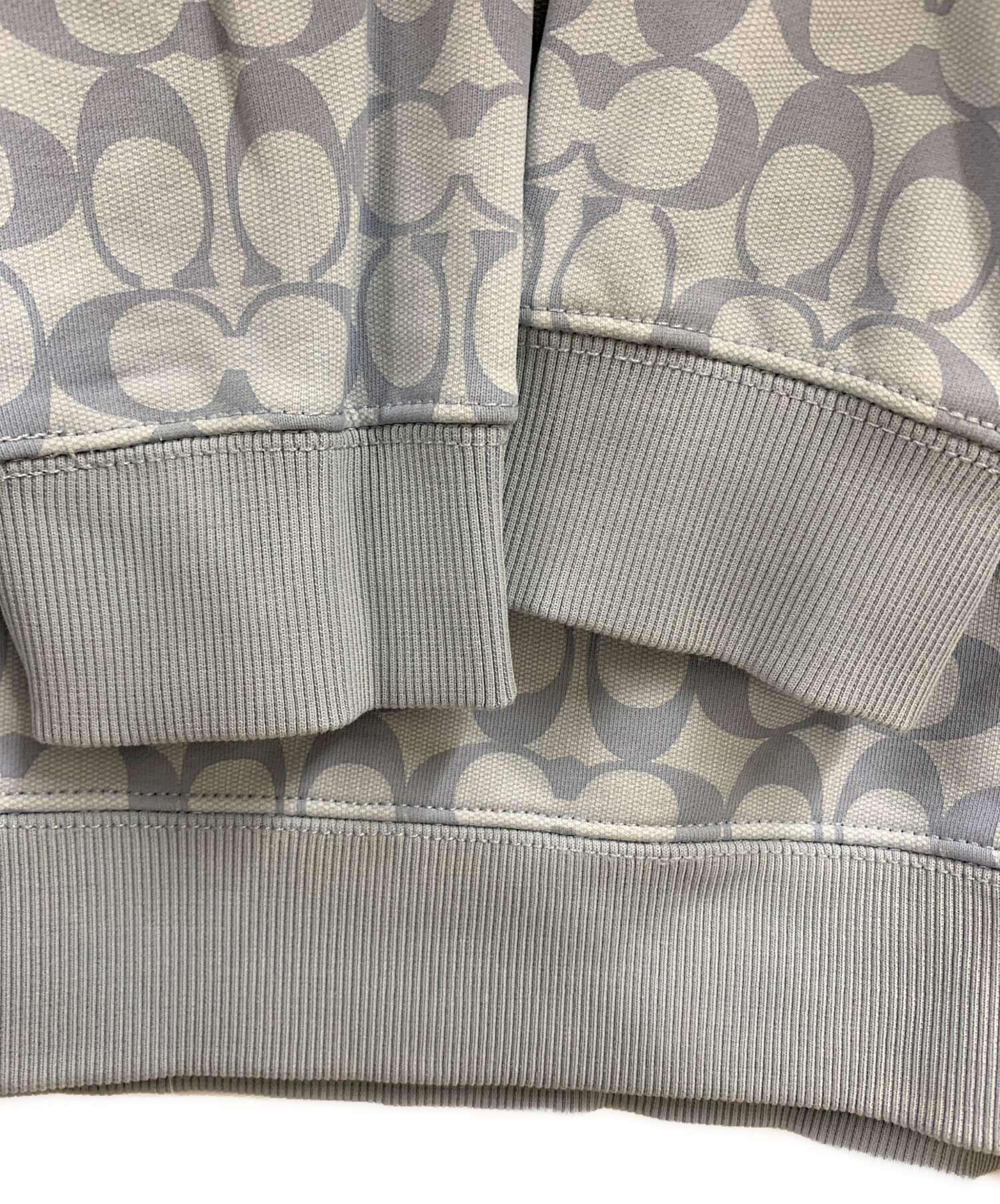 中古・古着通販】COACH (コーチ) COACH パーカー スカイブルー サイズ