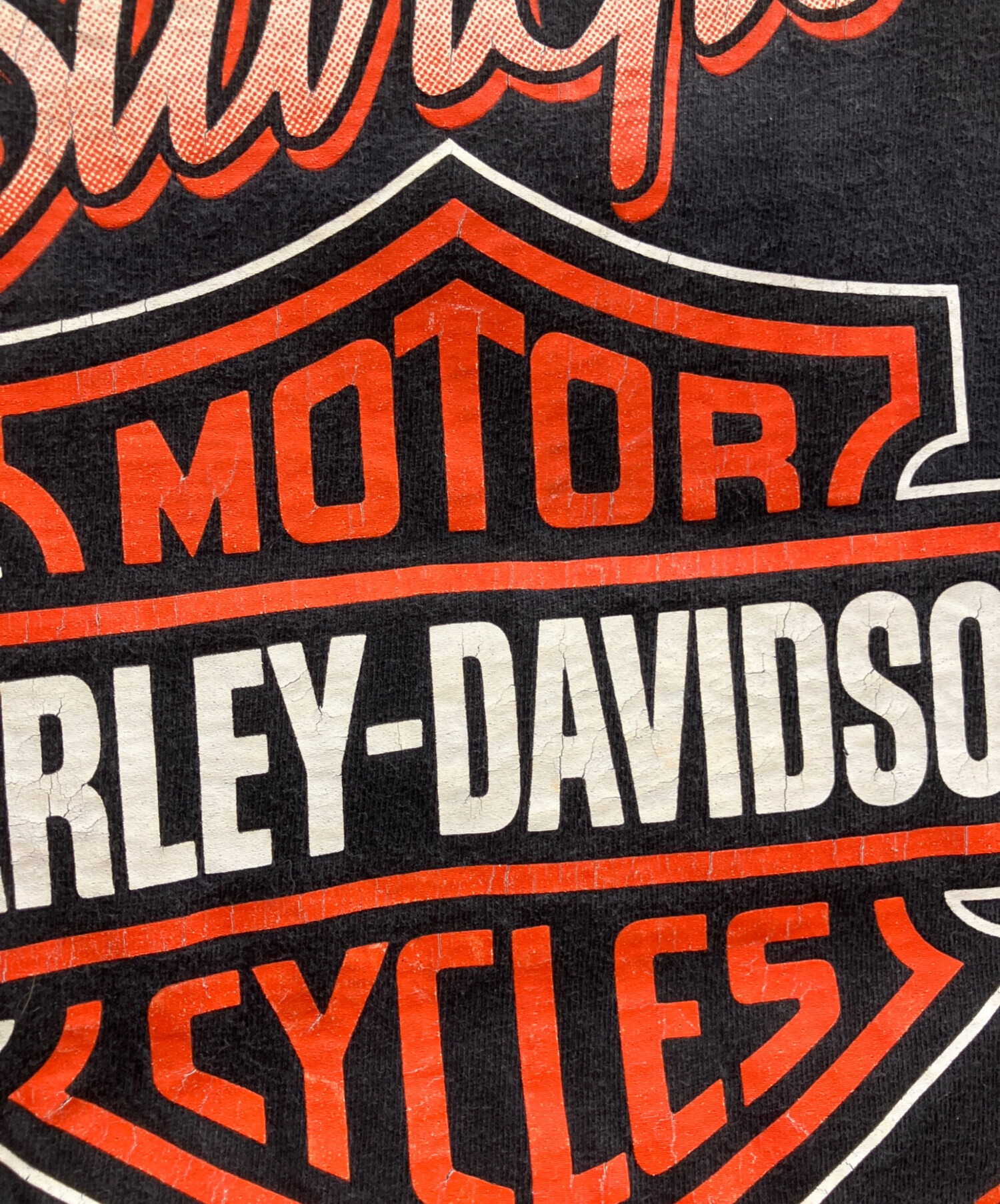 中古・古着通販】HARLEY-DAVIDSON (ハーレーダビッドソン) Hanes
