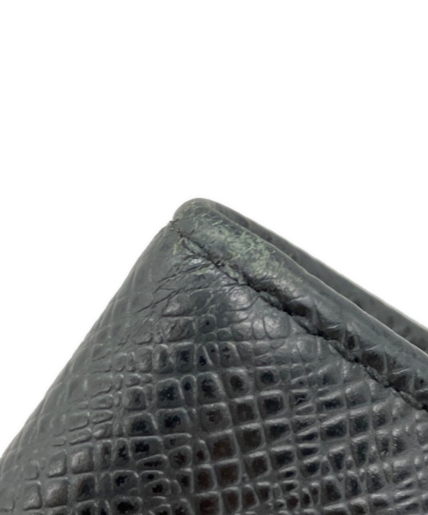 中古・古着通販】LOUIS VUITTON (ルイ ヴィトン) タイガ