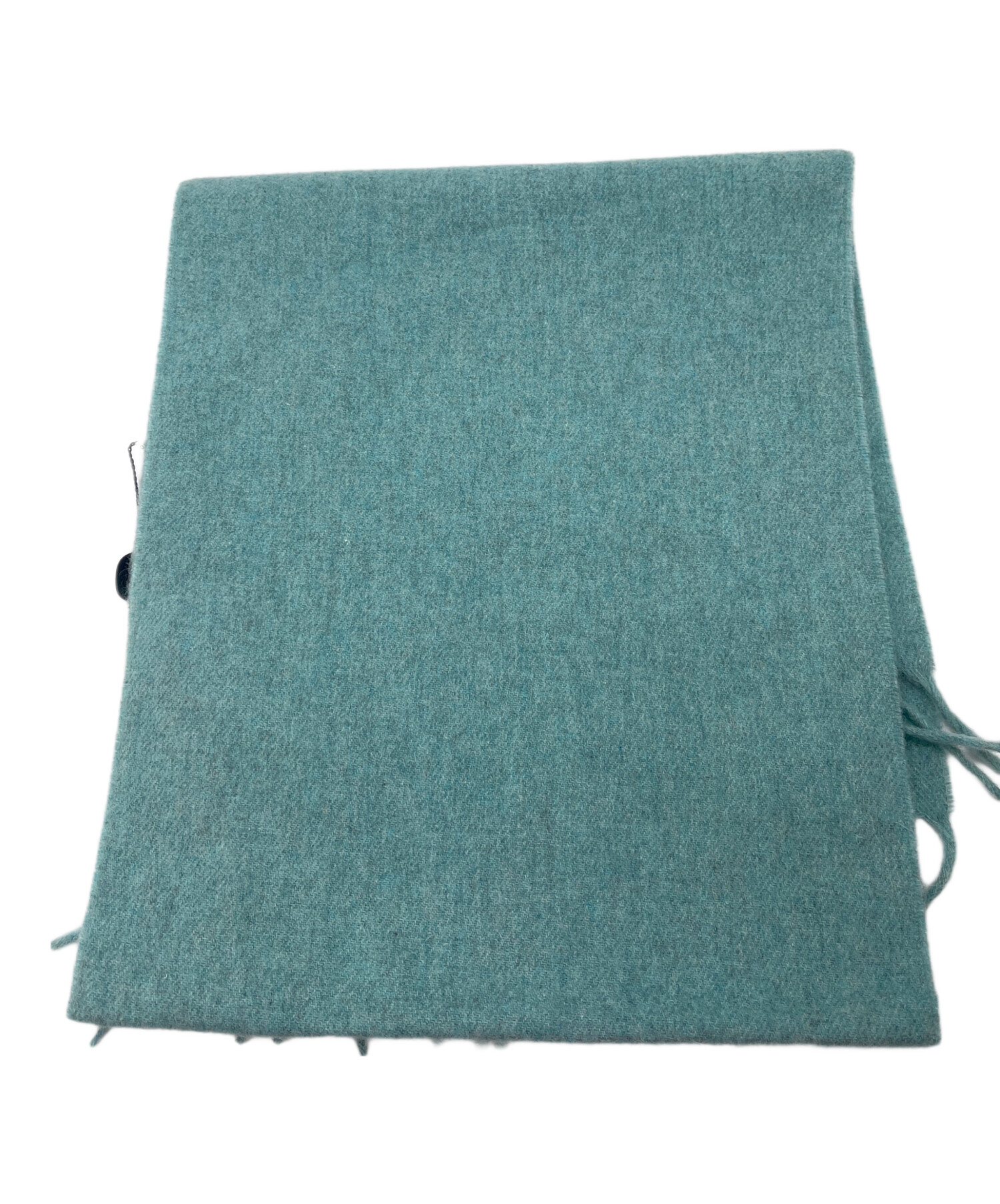 中古・古着通販】HERNO (ヘルノ) カシミヤマフラー ライトグリーン 未