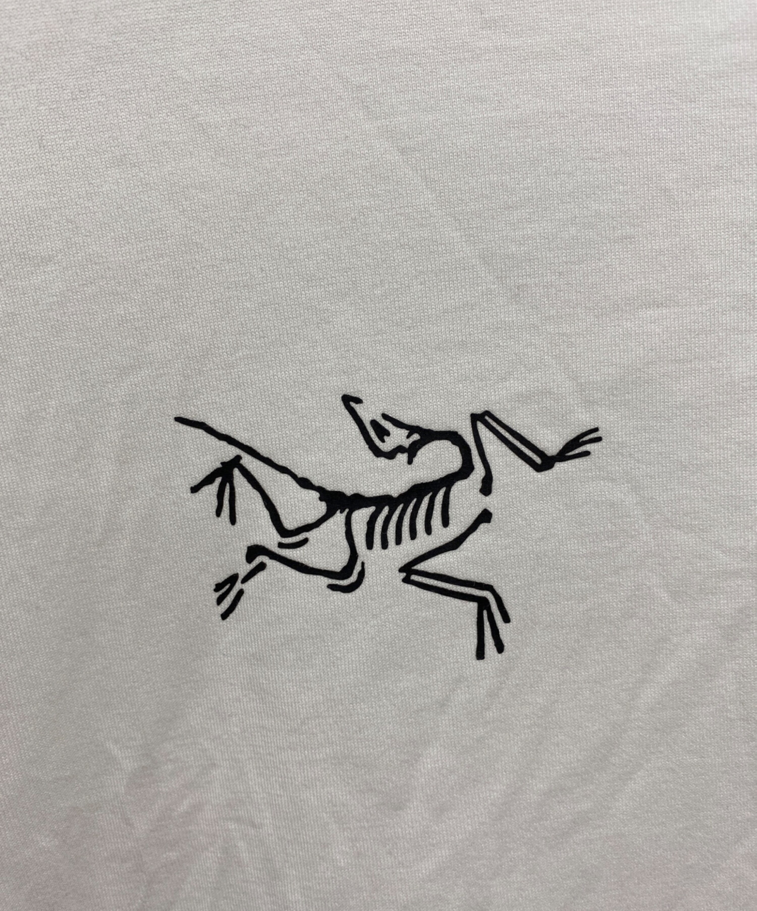 中古・古着通販】ARC'TERYX (アークテリクス) スプリットSSTシャツ