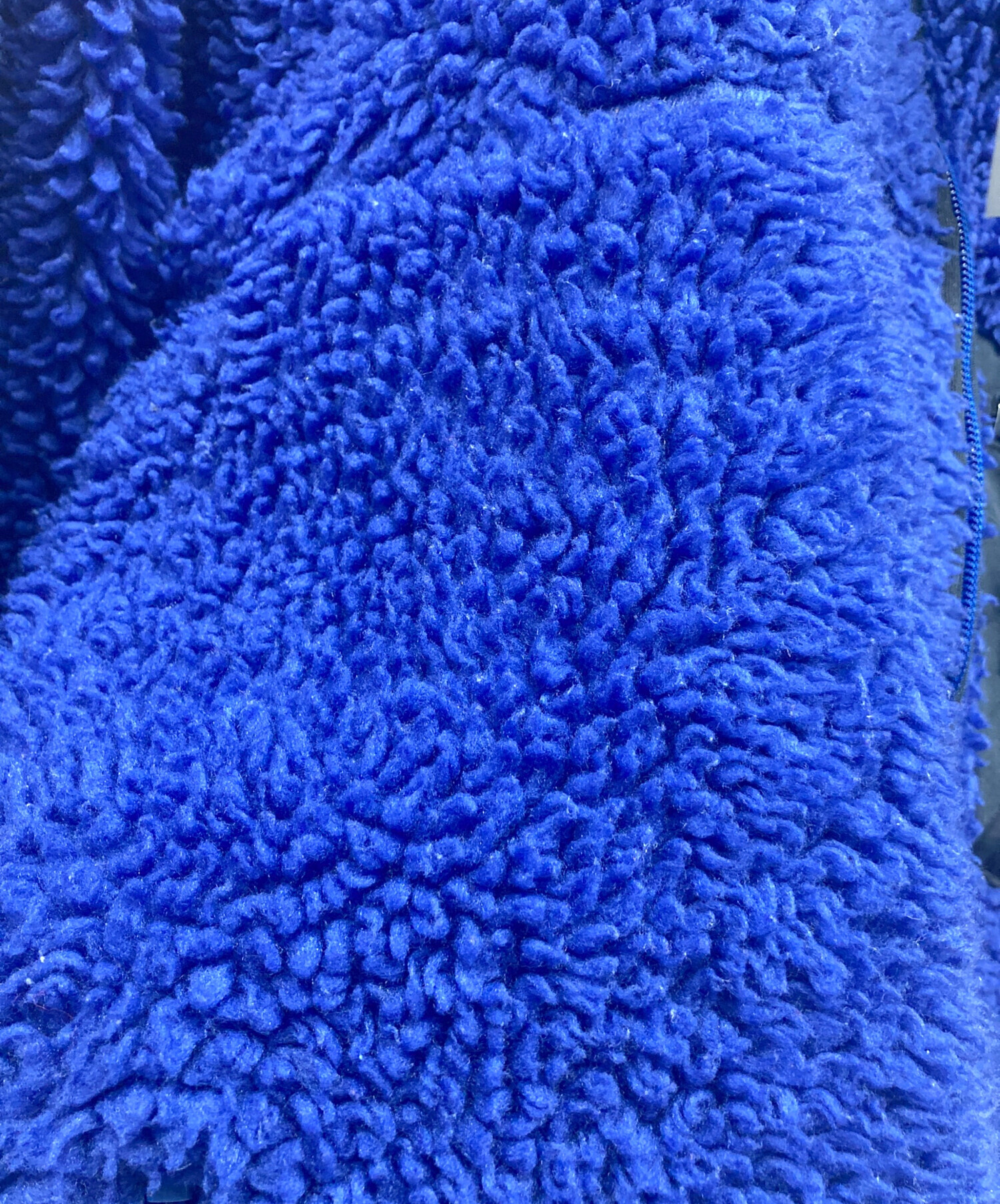中古・古着通販】Patagonia (パタゴニア) ボアフリースジャケット