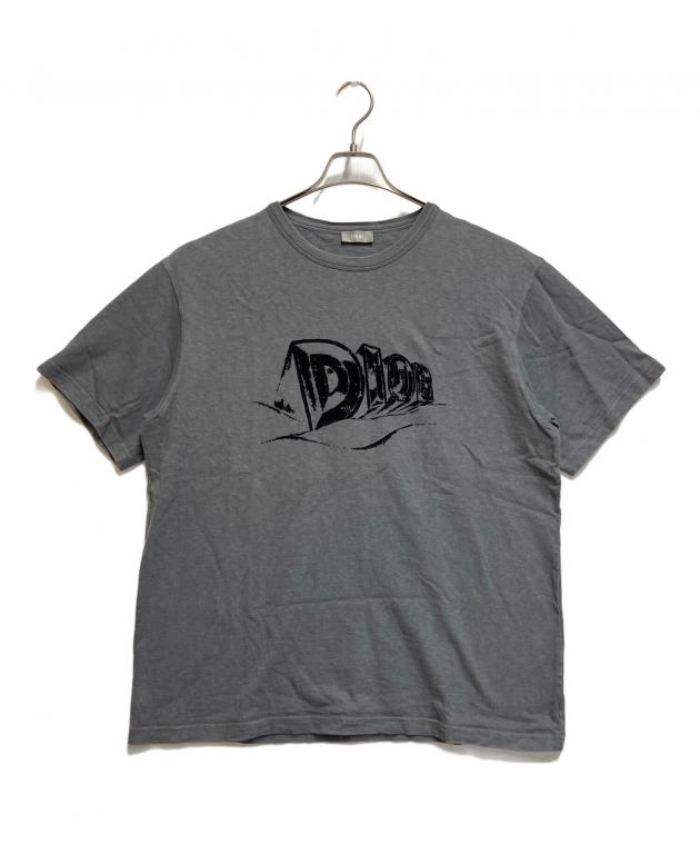 中古・古着通販】Dior (ディオール) 半袖カットソー ライトグレー