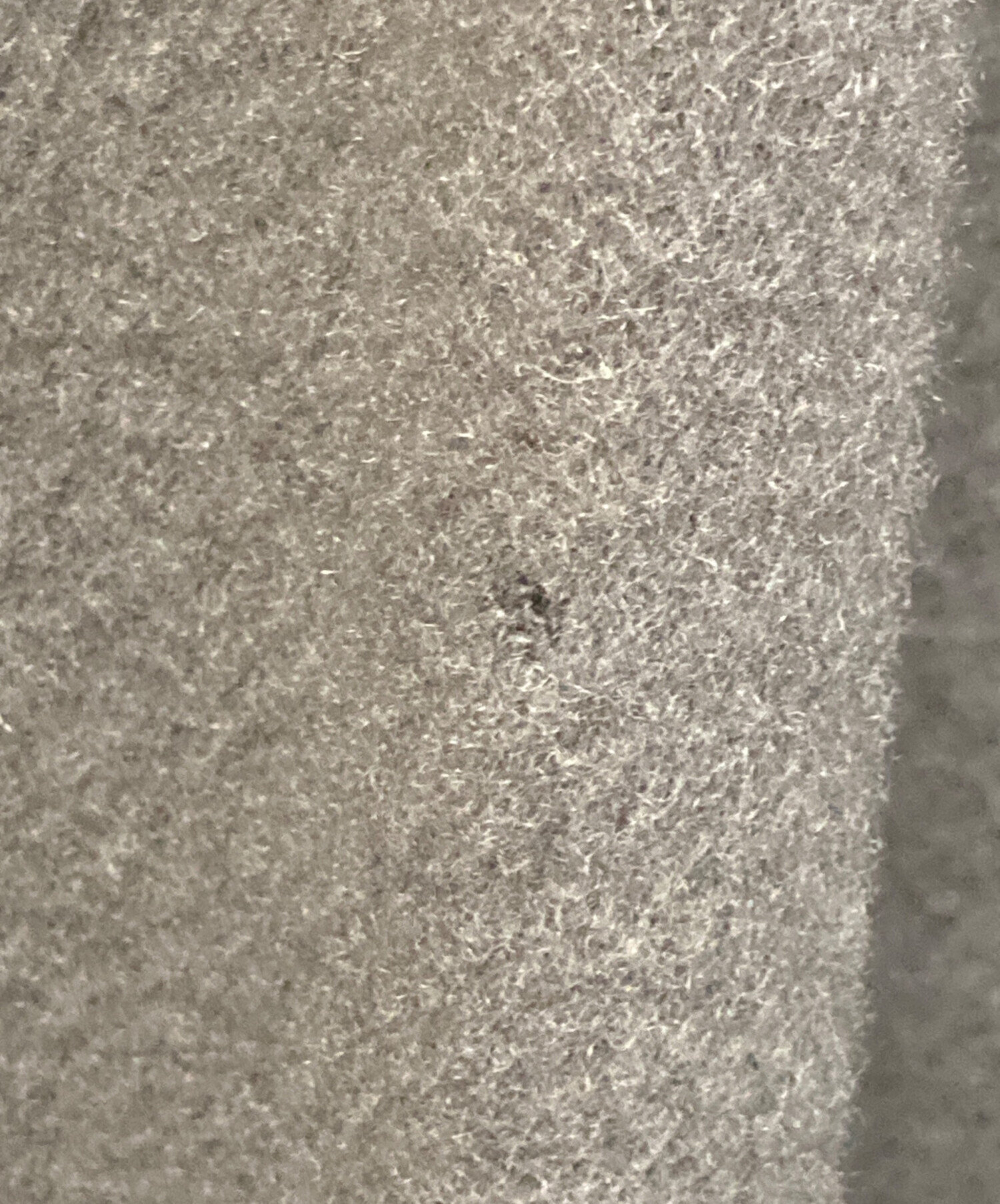 中古・古着通販】ENFOLD (エンフォルド) ウールコート グレー サイズ