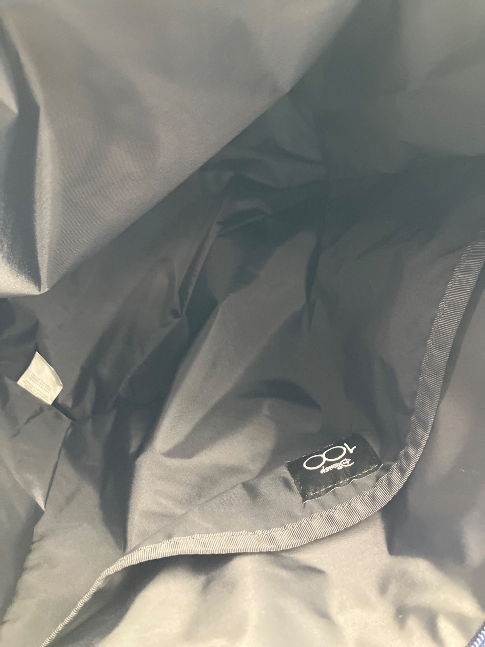 中古・古着通販】LeSportsac (レスポートサック) DISNEY (ディズニー