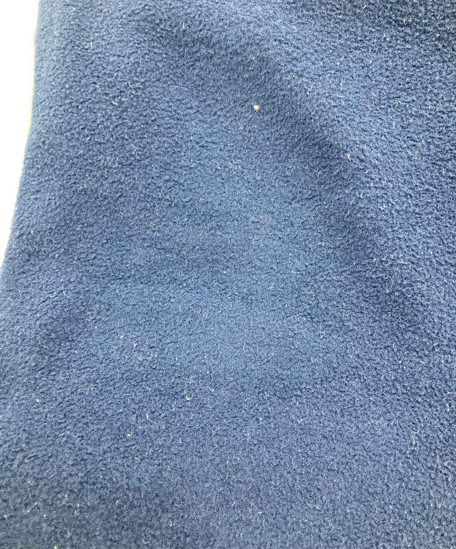 中古・古着通販】Patagonia (パタゴニア) シンチラスナップTパンツ