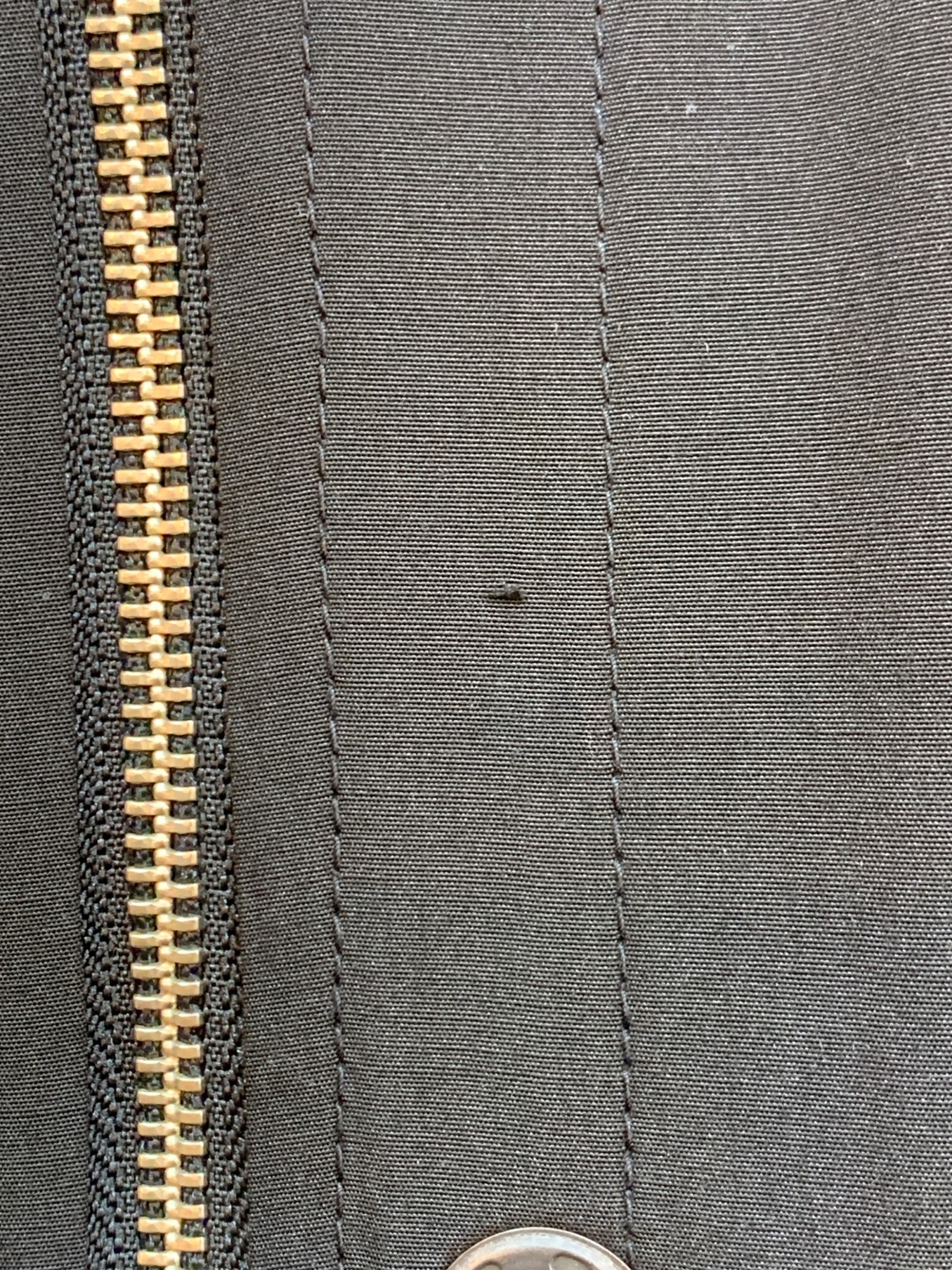 中古・古着通販】C DIEM (カルペディエム) Ny REVERSIBLE MODS モッズ