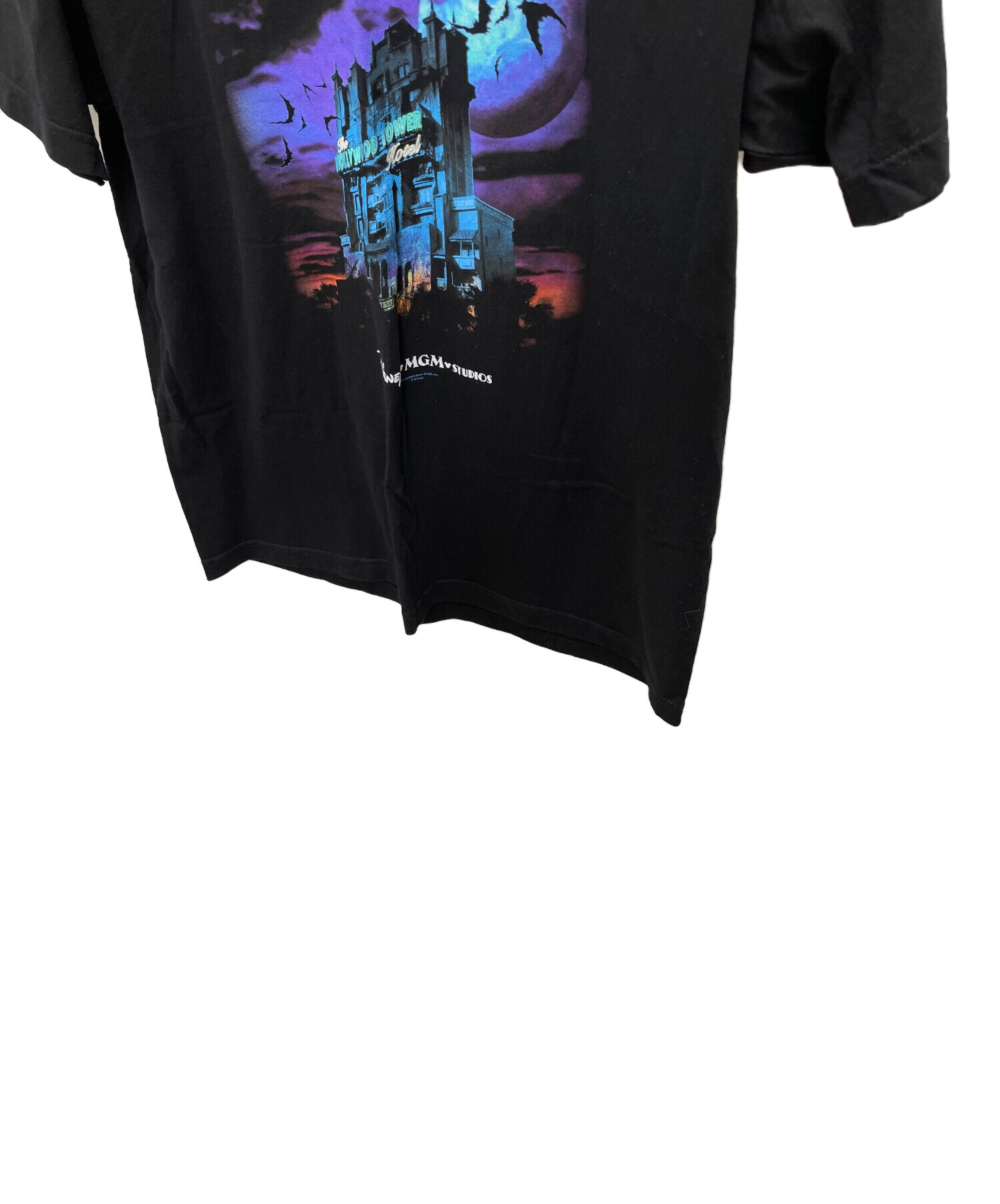 中古・古着通販】Walt Disney World (ウォルトディズニーワールド) T