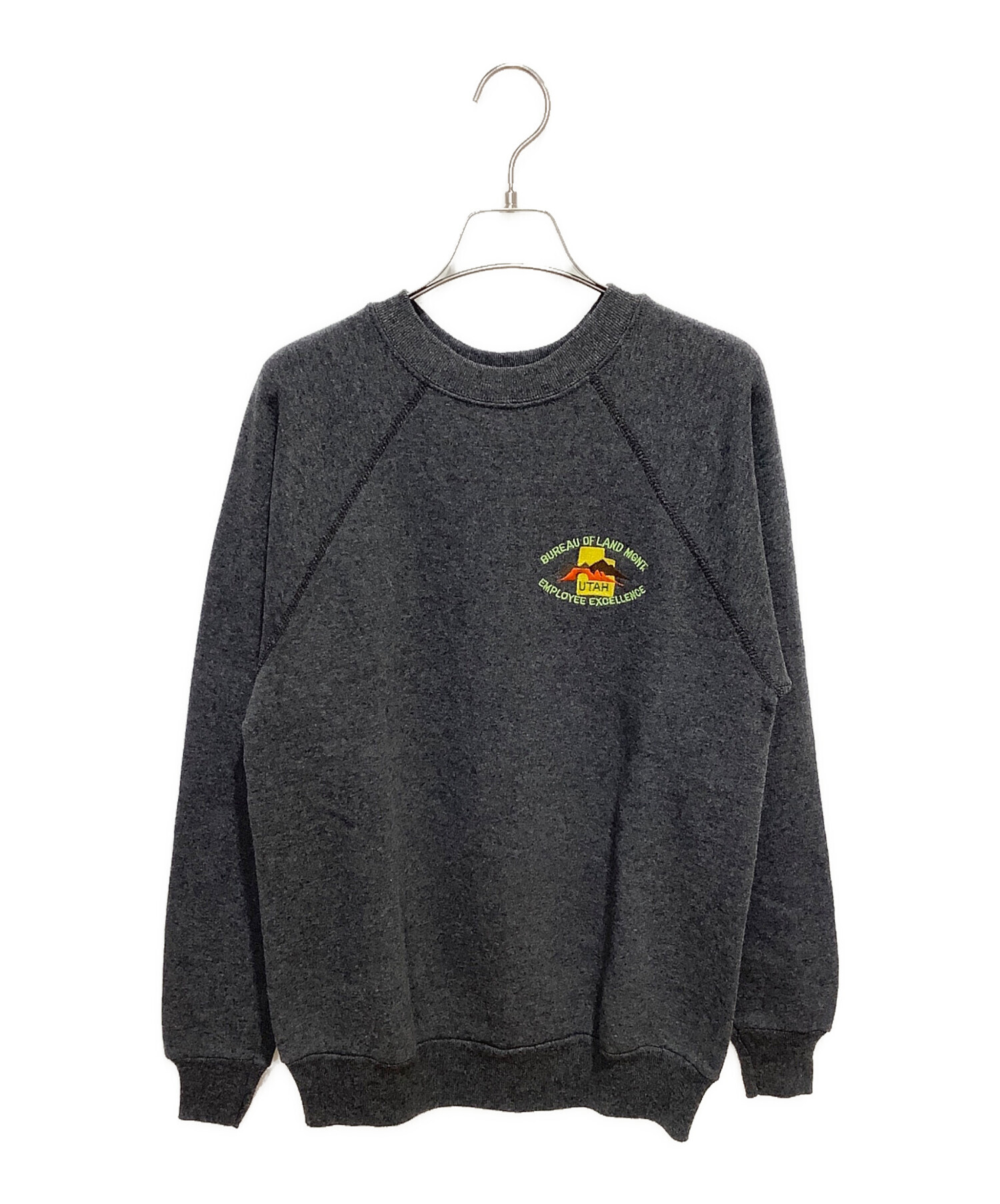 中古・古着通販】TULTEX (タルテックス) スーベニア スウェット グレー 