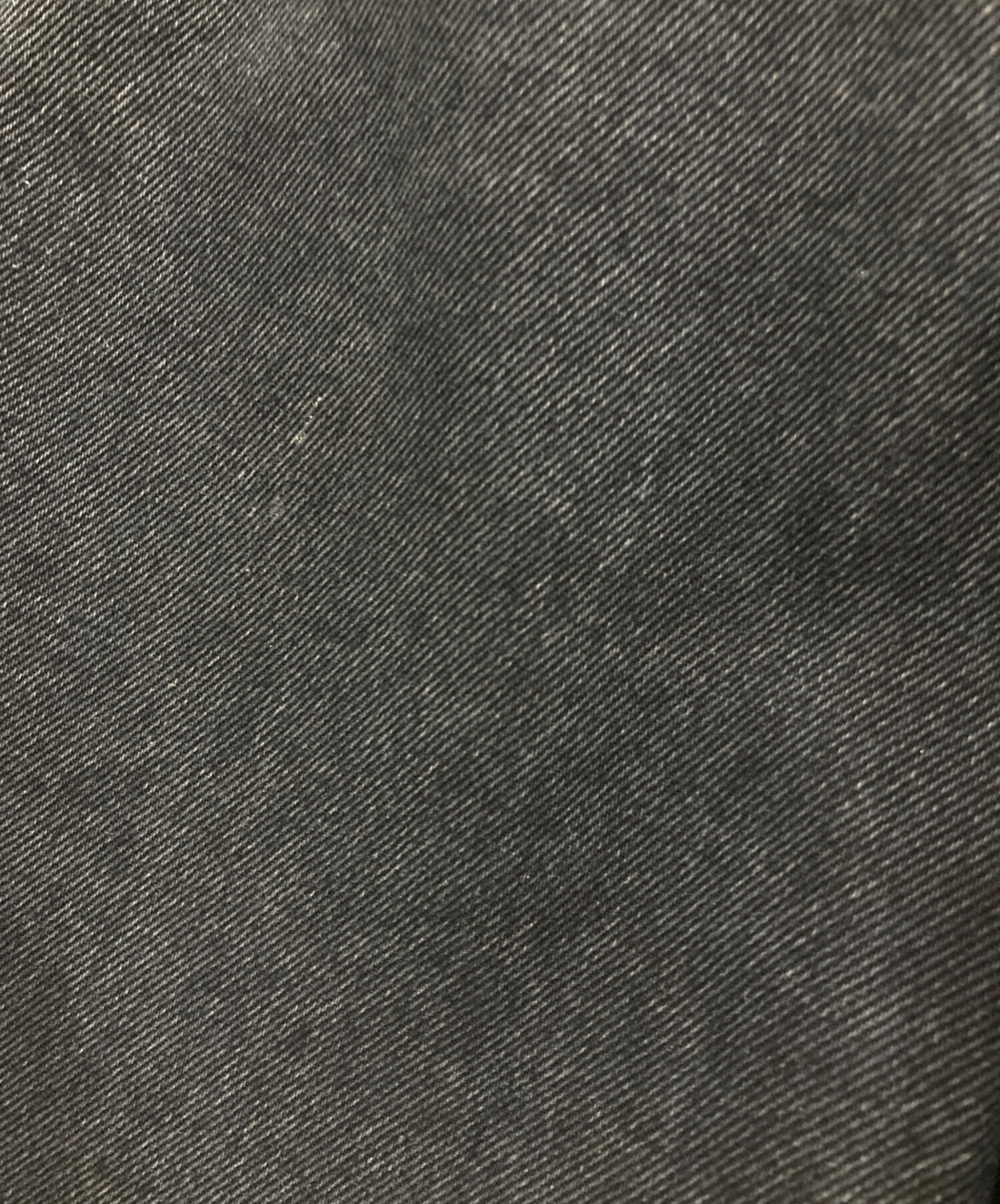 中古・古着通販】Christian Dior (クリスチャン ディオール) デニム