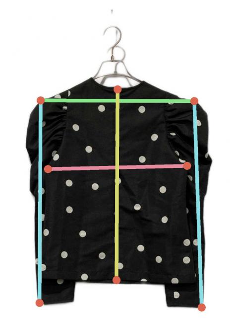 中古・古着通販】HYEON (ヘヨン) 長袖ブラウス ブラック×ホワイト