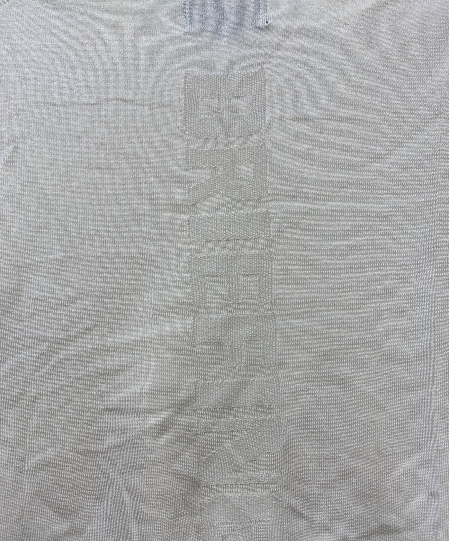 中古・古着通販】BRIEFING (ブリーフィング) 薄手ニット ベージュ