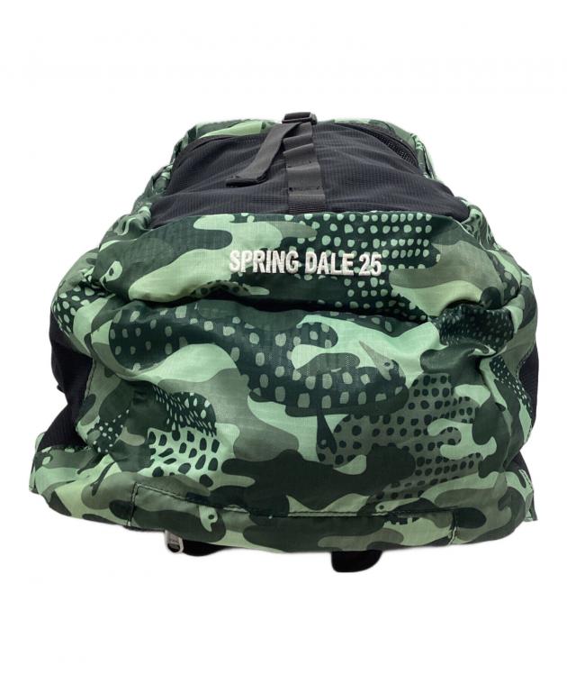 中古・古着通販】CHUMS (チャムス) リュック SPRING DALE25 ブラック