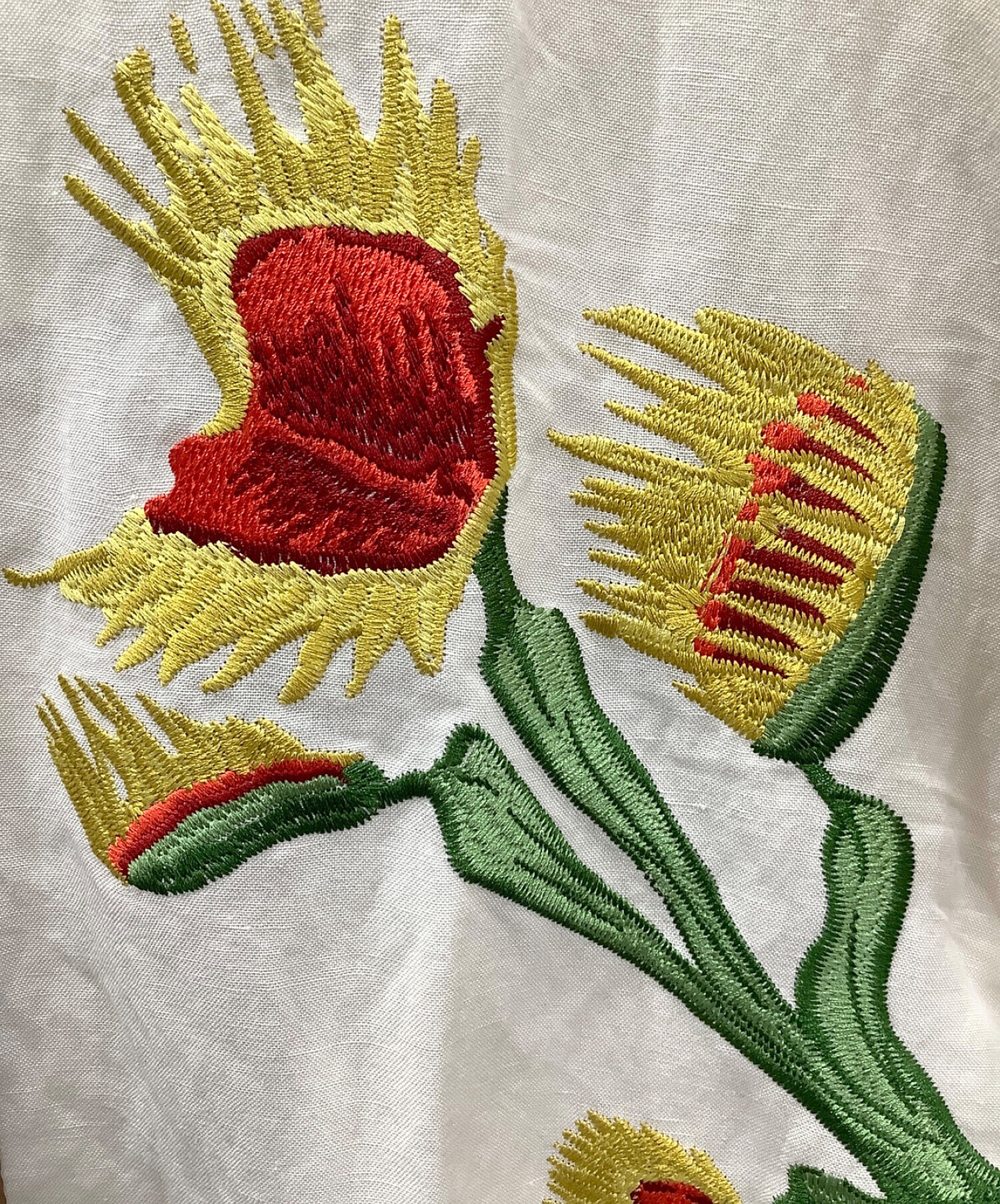 中古・古着通販】flagstuff (フラグスタフ) carnivorous plant S/S