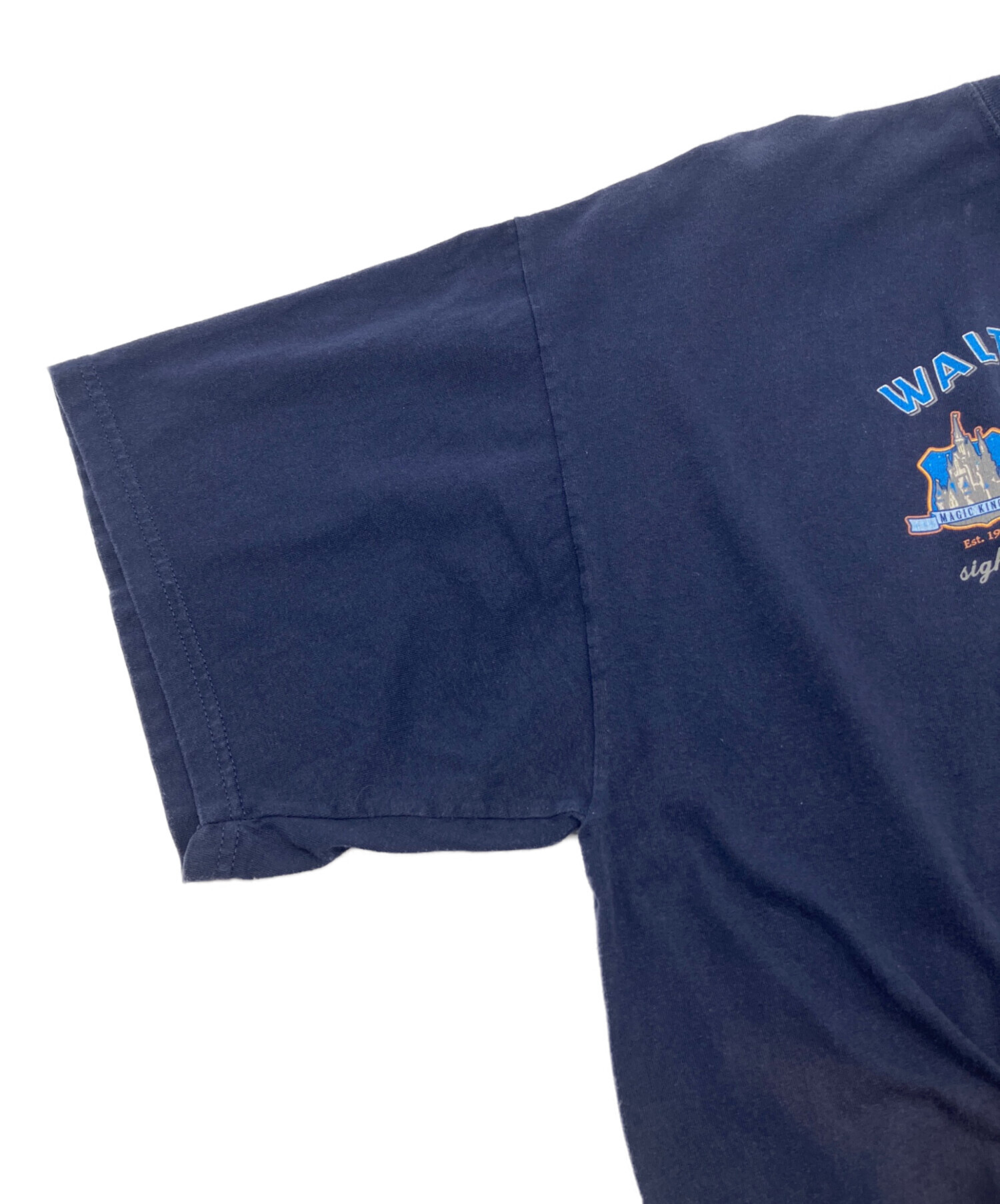 中古・古着通販】Walt Disney World (ウォルトディズニーワールド) 90s