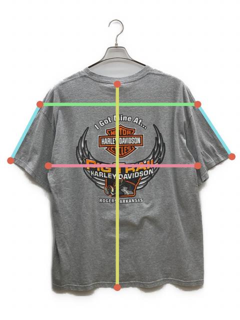 中古・古着通販】HARLEY-DAVIDSON (ハーレーダビッドソン) 00sロゴ