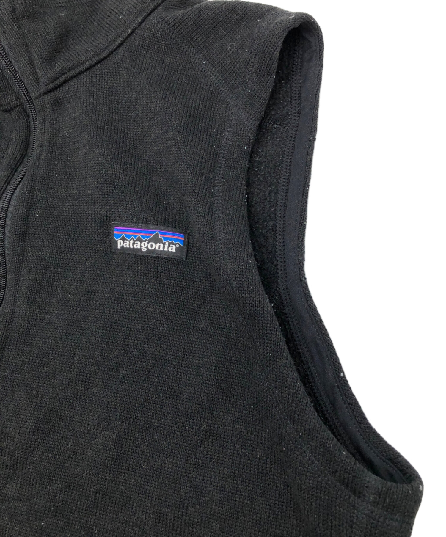 中古・古着通販】Patagonia (パタゴニア) ベターセーターベスト FA15