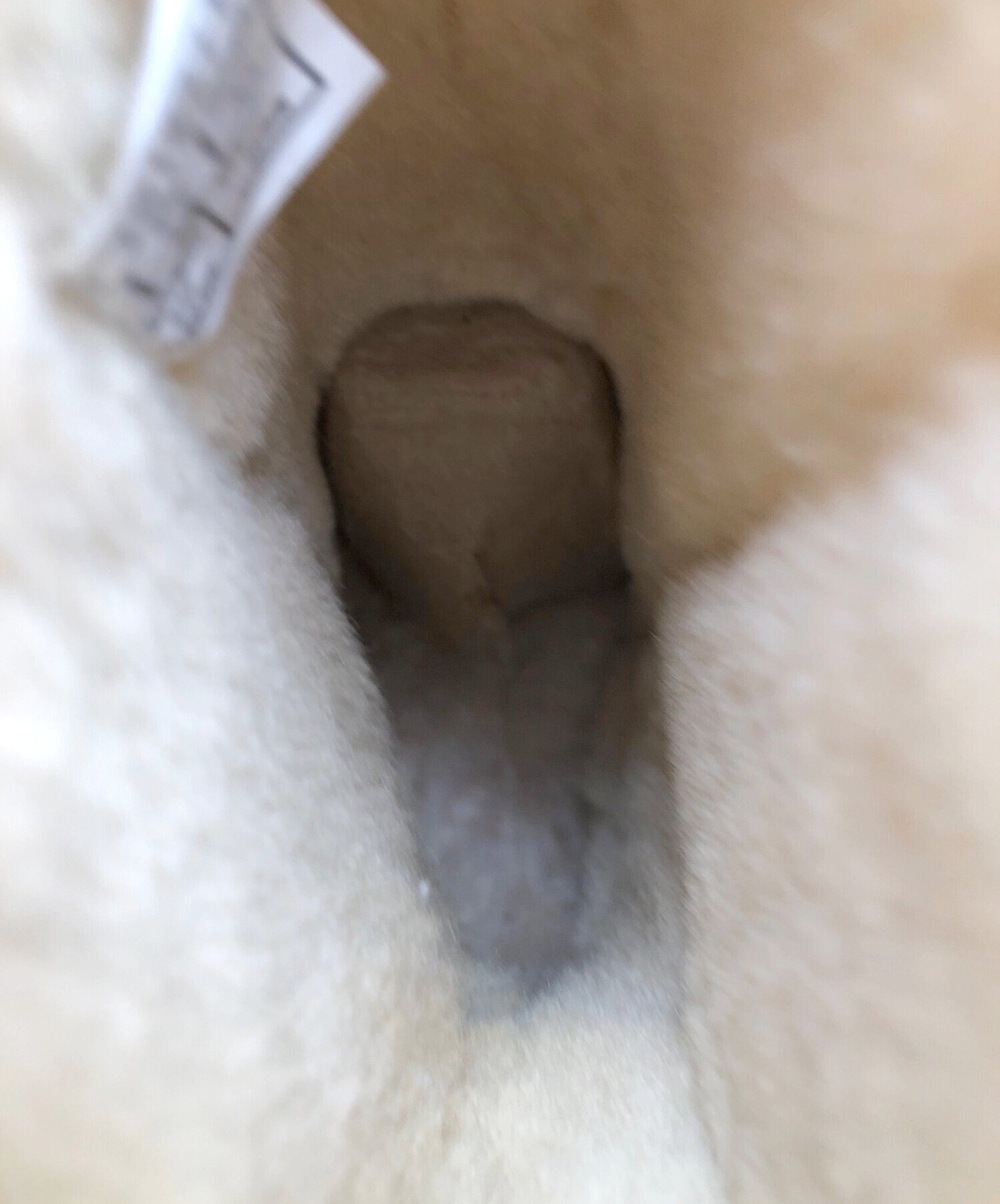 中古・古着通販】UGG (アグ) ロングブーツ ブラウン サイズ:24