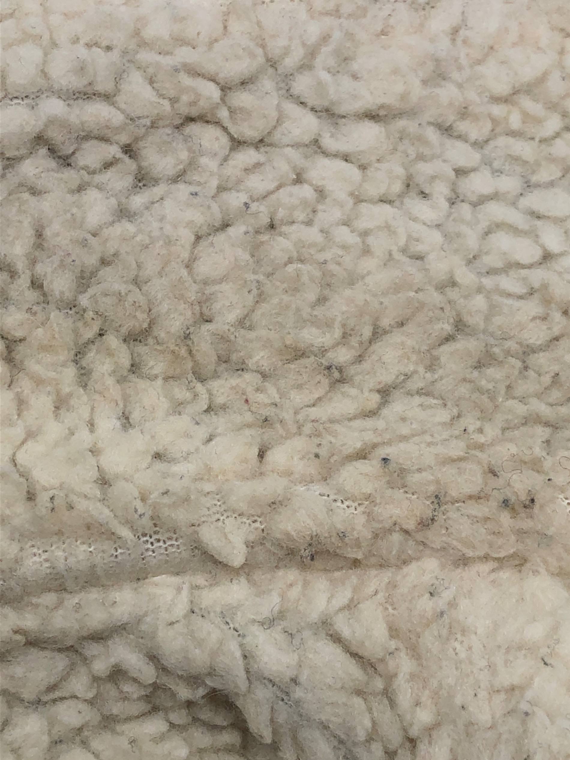 中古・古着通販】TRUE RELIGION (トゥルー レリジョン) 裏ボア