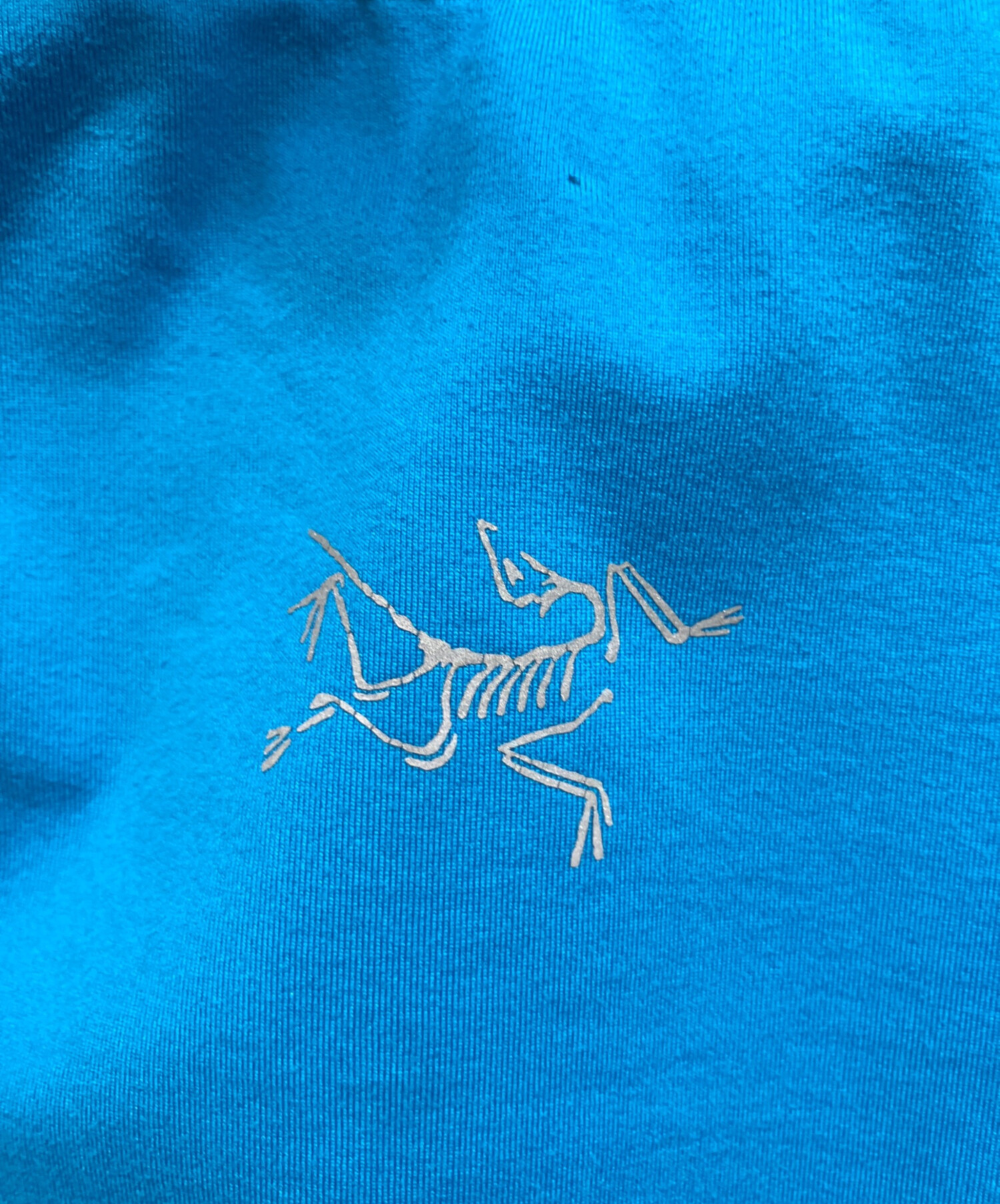 中古・古着通販】ARC'TERYX (アークテリクス) ARC'TERYX