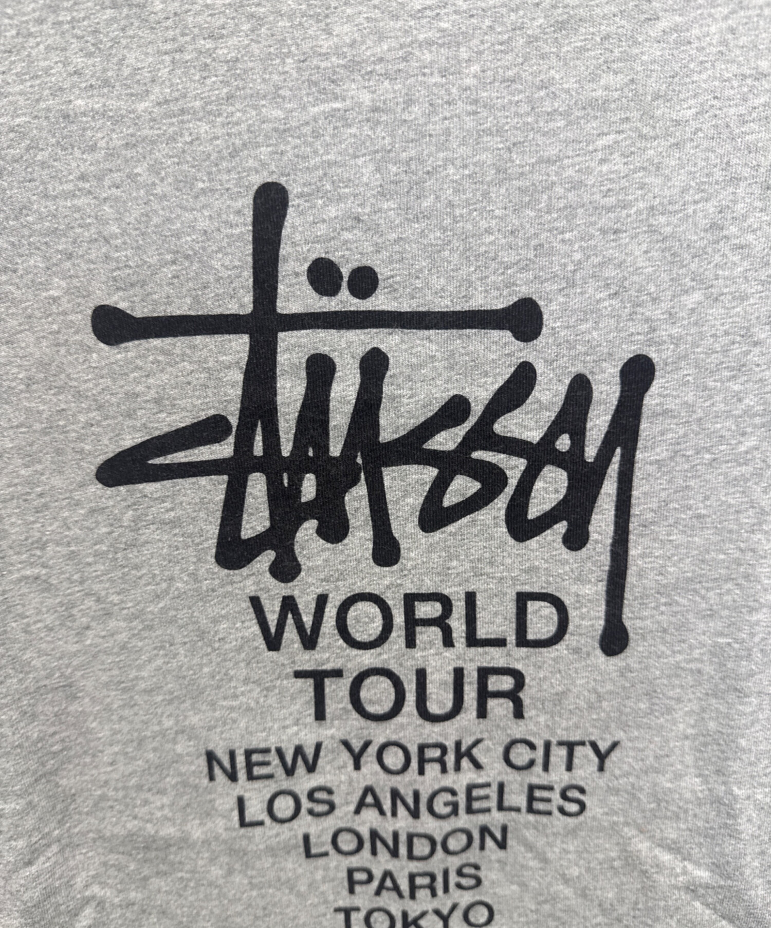 中古・古着通販】Champion (チャンピオン) stussy (ステューシー) 半袖
