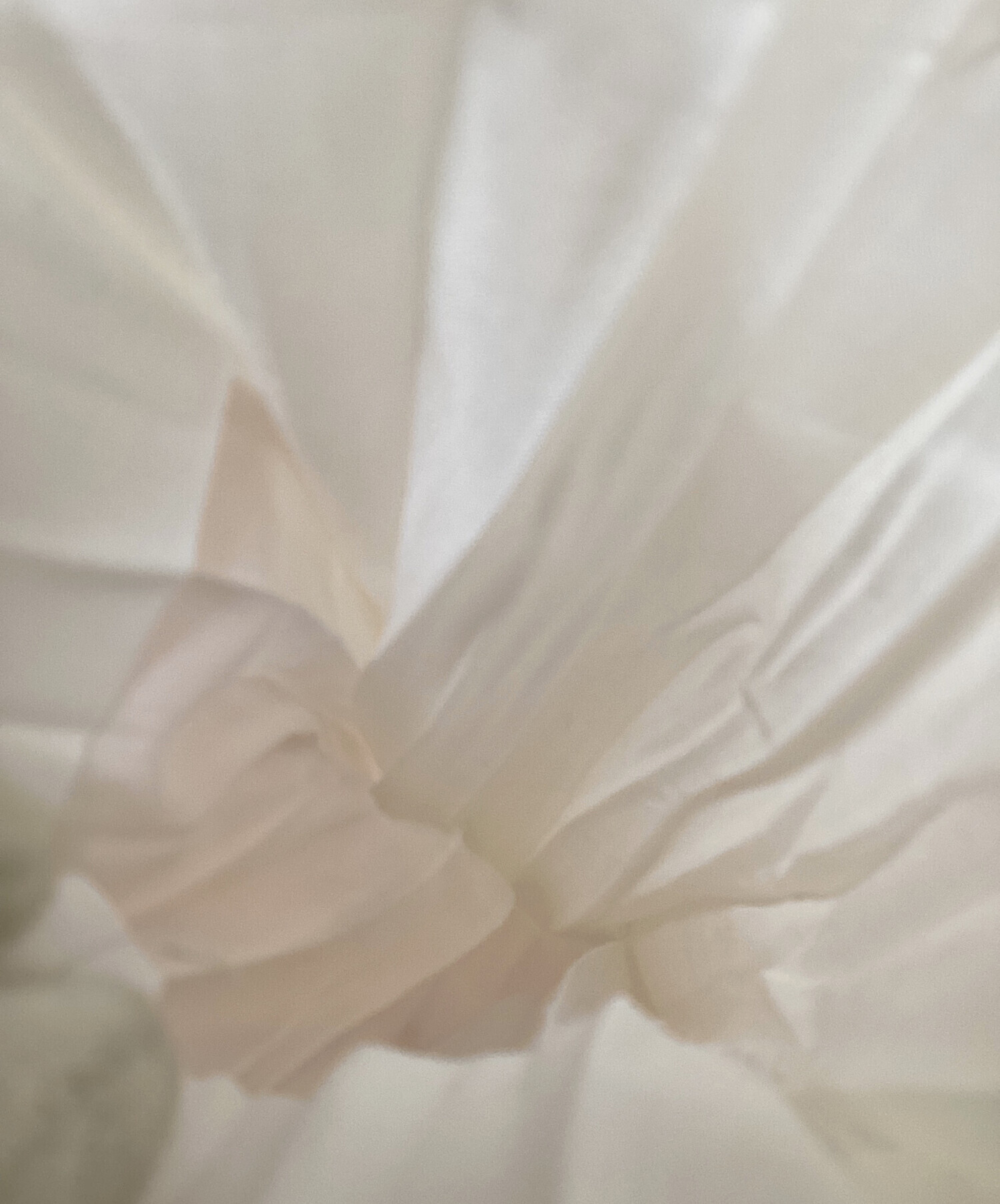 中古・古着通販】ISSEY MIYAKE (イッセイミヤケ) プリーツロングシャツ
