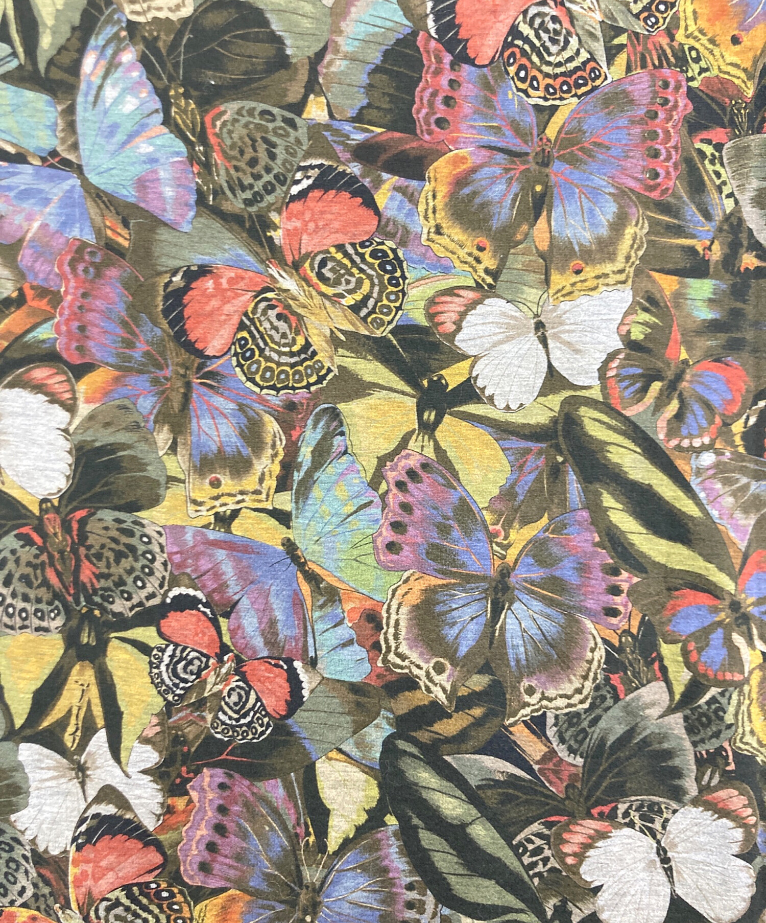中古・古着通販】VALENTINO (ヴァレンティノ) VALENTINO BUTTERFLY